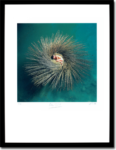 Peter Gabriel - Ovo, Album Cover. Framed Print